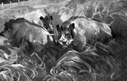 MT_128_Rayski Ferdinand von_Wild Boar_ca1863